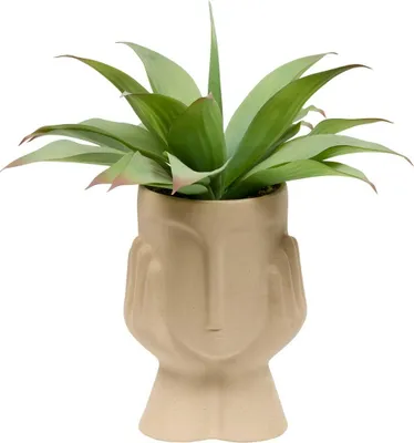 Produktbild von Künstliche agavenpflanze sien h48cm - Atmosphera créateur d'intérieur