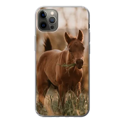 Produktbild von MuchoWow® Handyhülle Schutzhülle Hülle für iPhone 13 Pro Max Pferd - Sonne - Gras Silikon Softcase Handy Hülle - Mobiltelefon