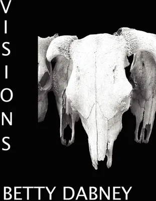 Produktbild von Visions