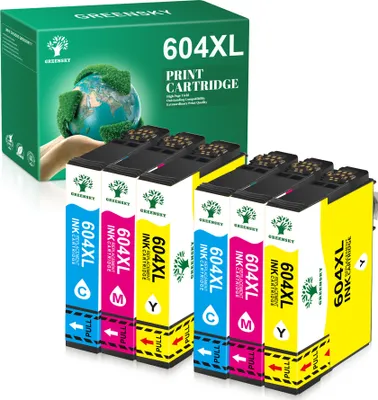A box of printer ink cartridges and the cartridges themselves.