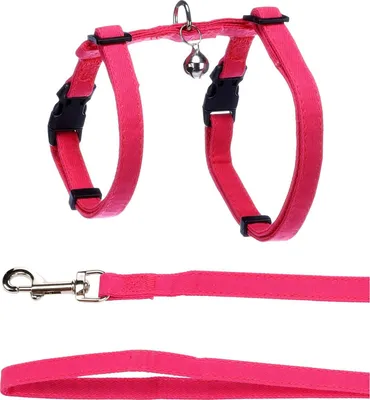 Produktbild von Flamingo Geschirr mit Leine Lomi fuchsie