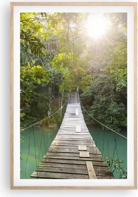 Produktbild von Gerahmtes Poster - Rahmen in heller Eiche - Brücke Seil Dschungel - 61x91,5 cm - Wand Bild - Wanddeko - Wandbilder - Kunstposter - Wandposter - Bilderrahmen - Bilder - Kunstdruck - P2NPA61x91-4397