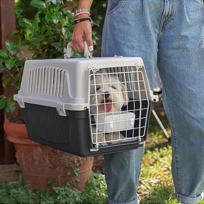 Productafbeelding van Famanu transportbox voor katten en kleine honden - 5 kg, met kussen en drinkbak