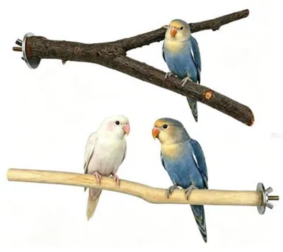 Produktbild von 2er Set Naturholz Sitzstangen für Vögel 20cm mit Befestigungsmaterial