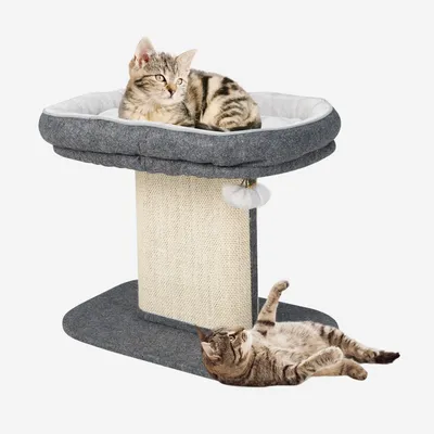 Immagine prodotto di FANTASK, tiragraffi per gatti, altezza 50 cm, piccolo tiragraffi con superficie morbida in peluche