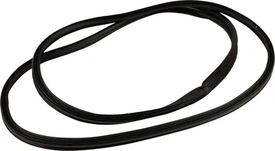 Immagine prodotto di Guarnizione per portellone posteriore, codice K55399229AF