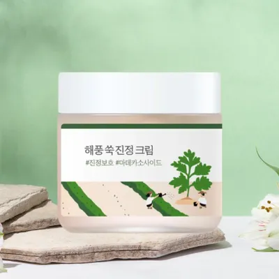 Obrázek produktu pro Round Lab Zklidňující krém s pelyňkem 80 ml