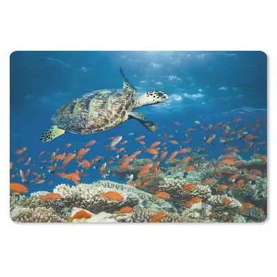 Produktbild von MuchoWow® Mauspad Mousepad Korallenriff mit Schildkröte 27x18 cm - Mousepads - Maus Mat - Pad - Mausunterlage - Büroartikel - Desk Matten