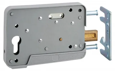 Image de Boitier pour serrure de porte garage cylindre profilé - FTH THIRARD - 00000069