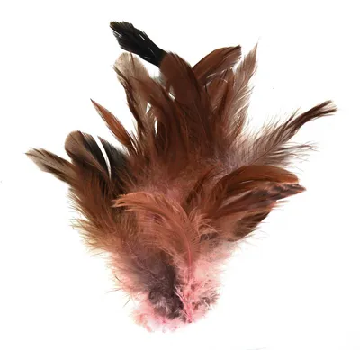Produktbild von 20 Hühnerfedern 6-15cm Federn Bastelfedern Schmuckfedern Dekofedern Farbwahl, Farbe:rosa