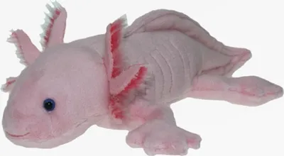 Produktbild von Cornelissen Kuscheltier Axolotl 29 cm