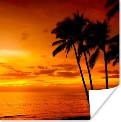 Produktbild von MuchoWow® Poster Palme - Sonnenuntergang - Tropisch - Orange - Meer 75x75 cm - Wand Dekoration