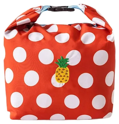 Kühltasche 20x14x28 cm wasserdicht faltbar für Lunch