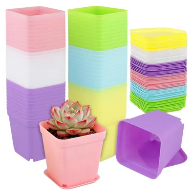 Image de Lot de 60 petits pots carrés pour plantes, avec soucoupes, de couleurs variées