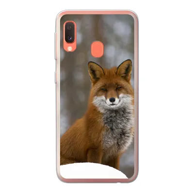 Produktbild von MuchoWow® Handyhülle Schutzhülle Hülle für Samsung Galaxy A20e Fuchs - Wald - Rot Silikon Softcase Handy Hülle - Abdeckung