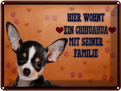 Produktbild von vianmo Blechschild 30x40 cm Hund hier wohnt ein Chihuahua