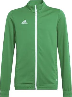 Produktbild von Adidas Entrada 22 Trainingsjacke Kinder - Grün | Größe: 140