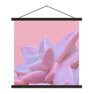 Produktbild von MuchoWow® Textilposter Sukkulente - Sommer - Rosa - Pflanzen 60x60 cm mit schwarzem Rahmen - Posteraufhänger