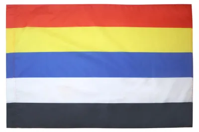 Flagge Republik China 1912-1928, 90x60 cm, Polyester 100D