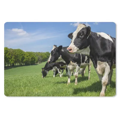 Produktbild von MuchoWow® Schreibtischunterlage Kuh - Gras - Wiese 60x40 cm - XXL Mauspad - Großes Mauspad