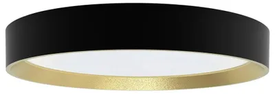 Produktbild von Philips Deckenleuchte, 24 W, LED, IP20, Schwarz