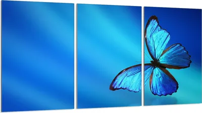 Produktbild von Glasschutzplatte für Herd 3x30x52