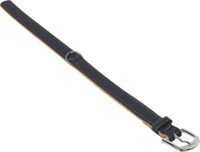 Image de Collier Nobby "PACIFIC" 27 cm (20-25 cm), 12/14 mm orange
