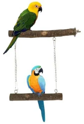 Image de Balançoire en bois pour perruches et petits oiseaux, avec une chaîne robuste