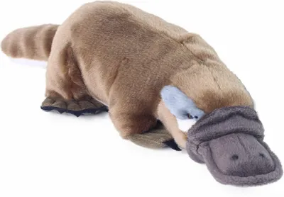 A plush toy platypus on a white background.