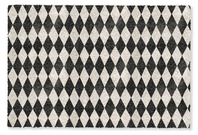 Imagen del producto de Alfombra de entrada absorbente con superficie antideslizante y diseño duradero
