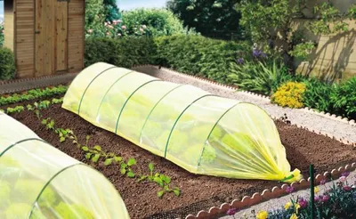 Image de Film de forçage maraîcher CLIMAPRO 2x5m