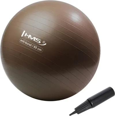 Immagine prodotto di Palla da ginnastica HMS YB02N 65 cm bronzo
