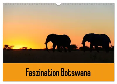 Immagine prodotto di Il fascino del Botswana (calendario da parete 2027, formato DIN A3 orizzontale), calendario mensile CALVENDO