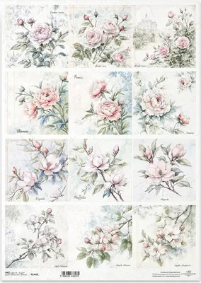 Immagine prodotto di Carta di riso per decoupage Carta artigianale per decoupage A3 ITD R1445L Fiori, rose, peonie, fiori di melo, magnolie