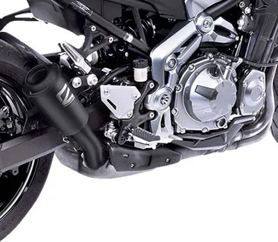 Obrázek produktu pro Zadní tlumič Leo Vince LV10 Z900 FB