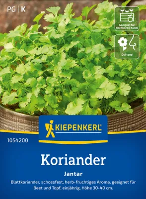 Artikelbild 2 von 'Koriander Jantar' aus der Kategorie Koriandersamen