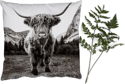 Produktbild von MuchoWow® Zierkissen Sofakissen Wohnzimmer Dekokissen 60x60 cm Berg - Schwarz - Weiß - Schottisches Hochlandrind - Sitzfläche - Foto Polster
