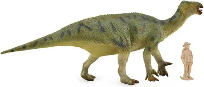 Immagine prodotto di Collecta Deluxe Iguanodon 1:40 Figura Verde 3-6 Anni Verde 3-6 Anni