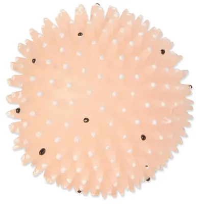 Obrázok produktu pre TRIXIE Hedgehog Ball, Pes, Lopta, Vinyl, 10 cm