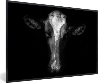Produktbild von MuchoWow® MuchoWow® Gerahmtes Poster Kuh Porträt auf schwarzem Hintergrund in schwarz und weiß 60x40 cm - Poster mit zchwarzem Bilderrahmen - Printing - Wanddeko Schlafzimmer