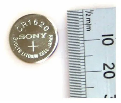 A coin cell battery next to a ruler.