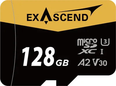 Obrázek produktu pro Paměťová karta ExAscend Catalyst UHS-I Micro 256 GB