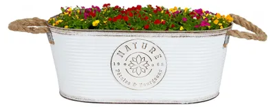 Produktbild von Sunnydays Teil/Pflanzgefas - Zink - elfenbeinweis - 35 x T19 x 14 cm