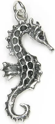 Produktbild von Kettenanhänger Filigranes Seepferdchen 925 Silber Oxidiert 3,5cm Amulett