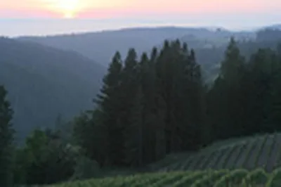 Produktbild von Pinot Noir Savoy Vineyard  - 2015 - Littorai