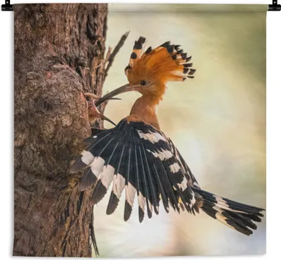 Produktbild von MuchoWow® Wandteppich Wandbehang Vogel - Baum - Wald 120x120 cm Tapisserie Dekoration Wandtuch - Modern - Baumwollgewebe