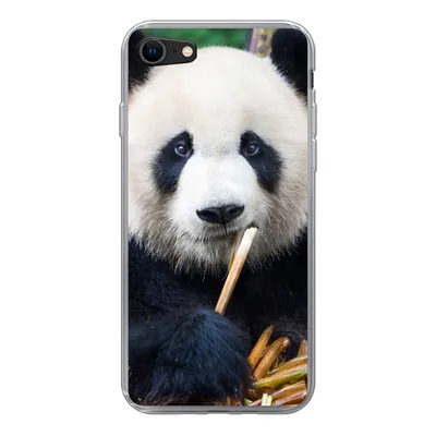Produktbild von MuchoWow® Handyhülle Schutzhülle Hülle für iPhone 8 Panda - Bambus - Natur Silikon Softcase Handy Hülle - Schutzhaube
