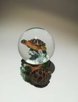 Produktbild von Glitzerkugel Schildkröte, braun, Schneekugel Tier Tiere Schneekugeln Schildkröten