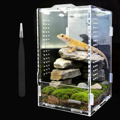 Produktbild von Terrarium 20x12x12 cm, Acryl, transparent, für Reptilien