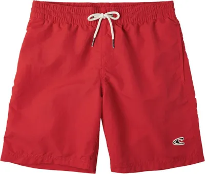 Image de Maillots de bain pour garçons Vert | VERT 14' SHORT DE BAIN 152 O'Neill